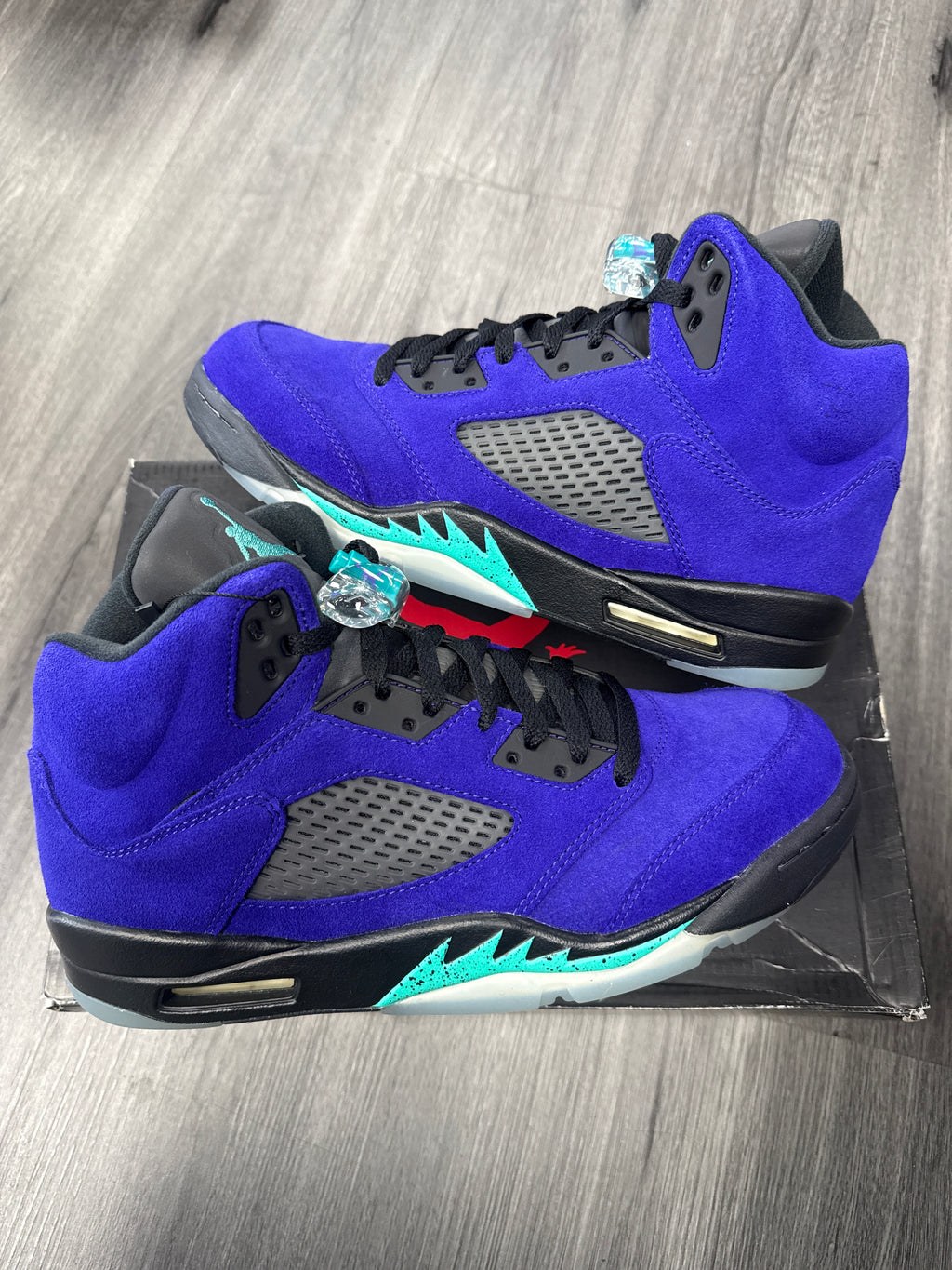 Jordan 5 Alternate Grape - size 10
