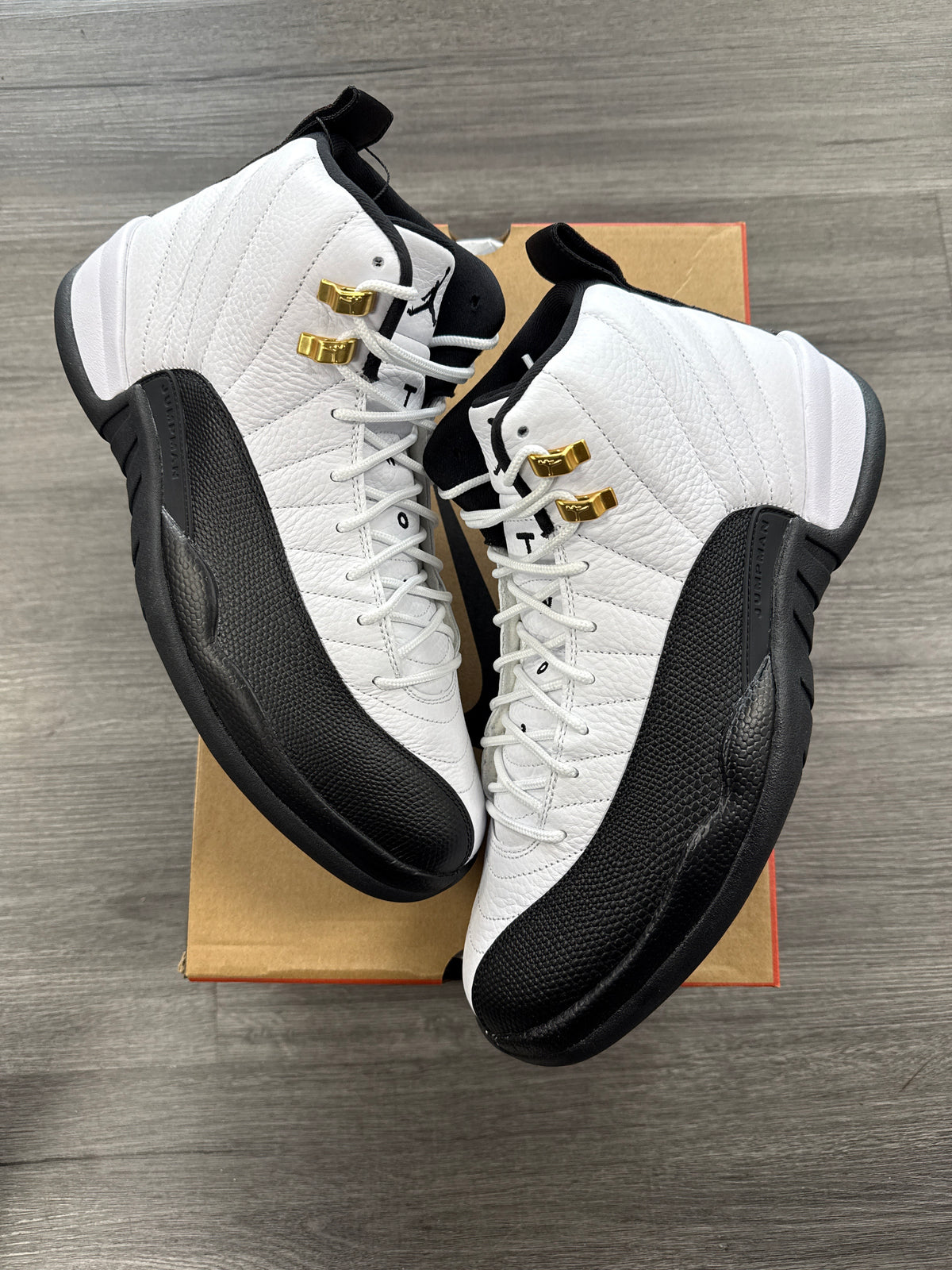 Jordan 12 Taxi