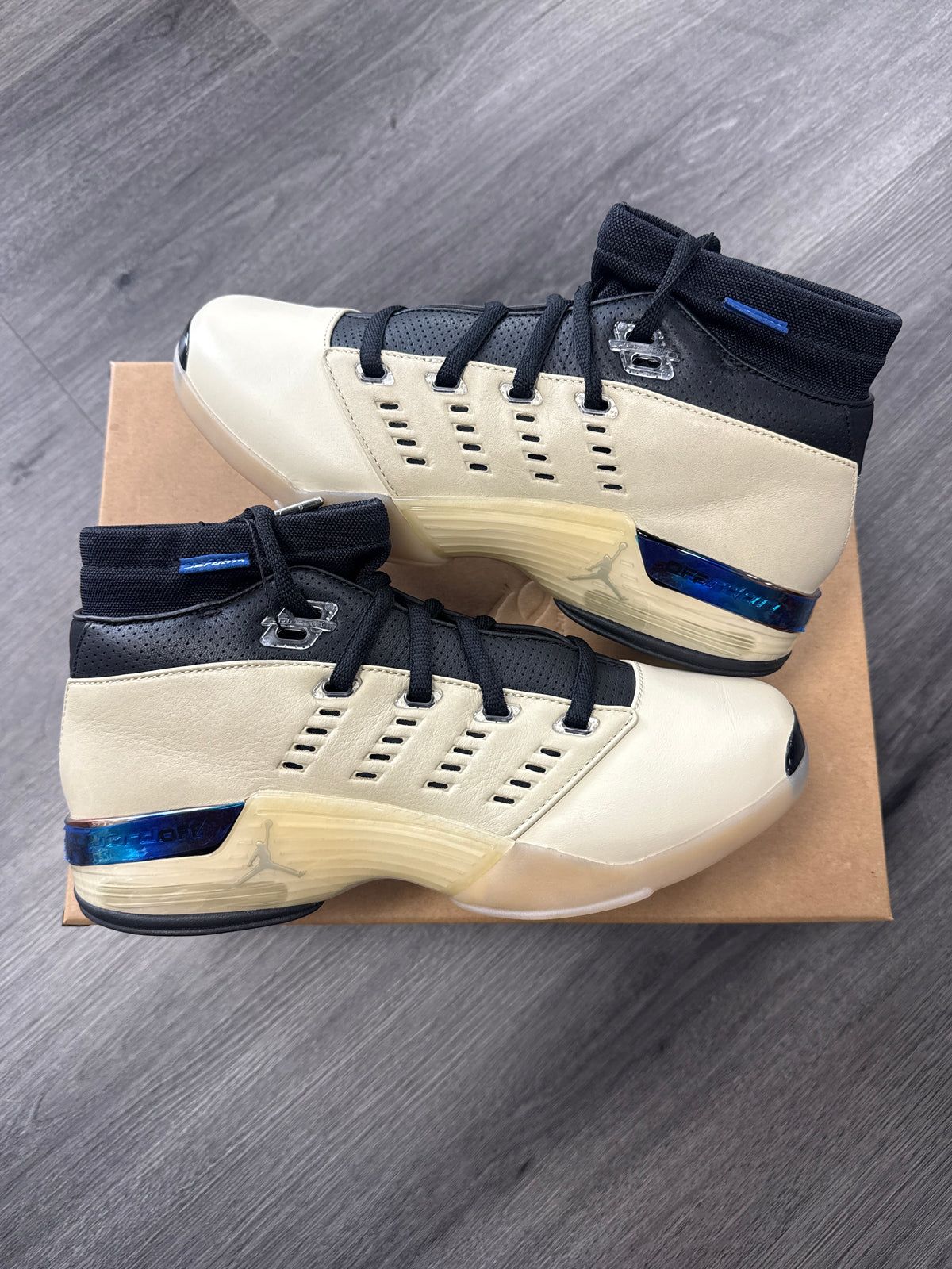 Jordan 17 Low Infinite Archives - size 8.5