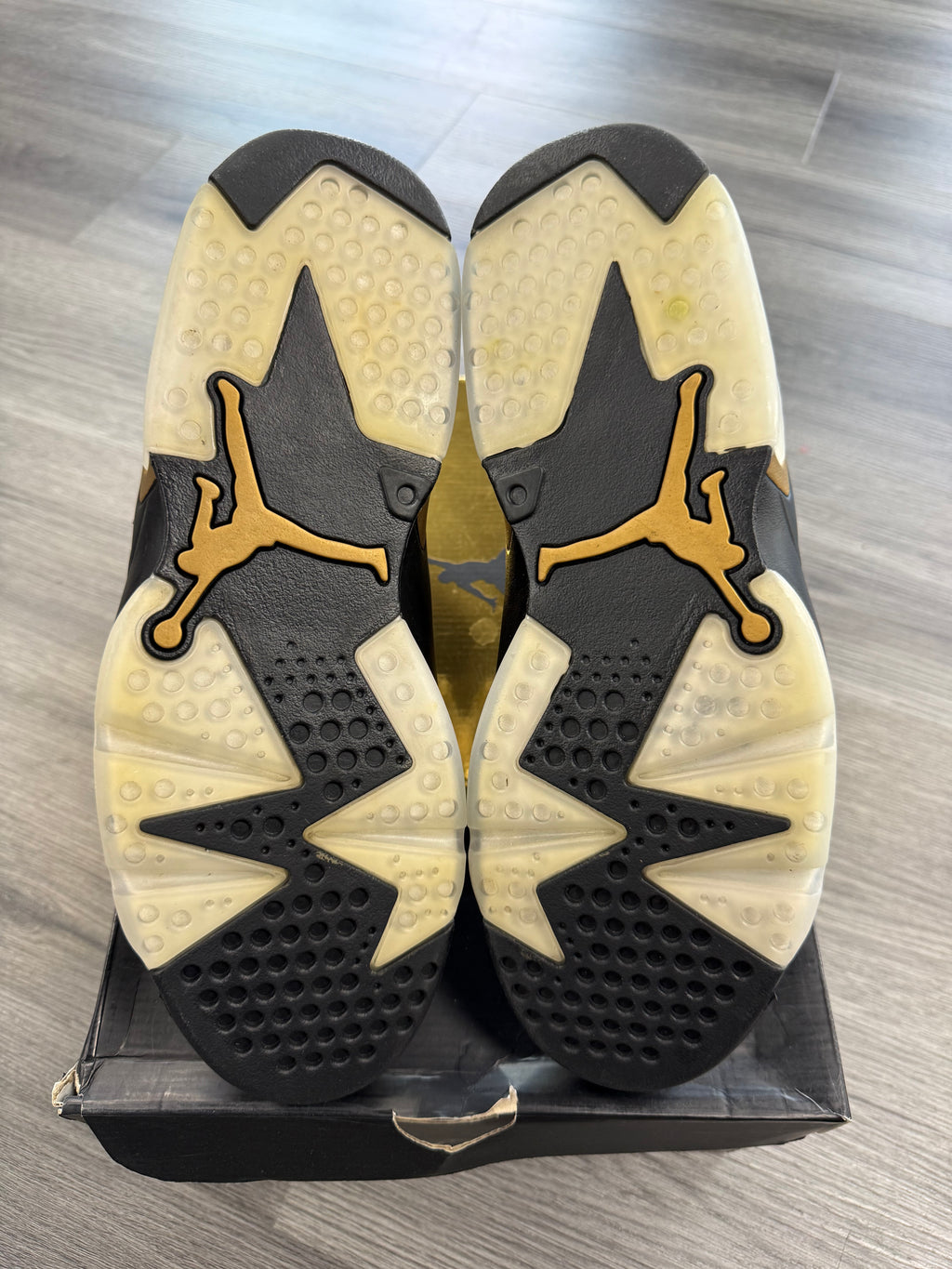Jordan 6 DMP - size 10.5