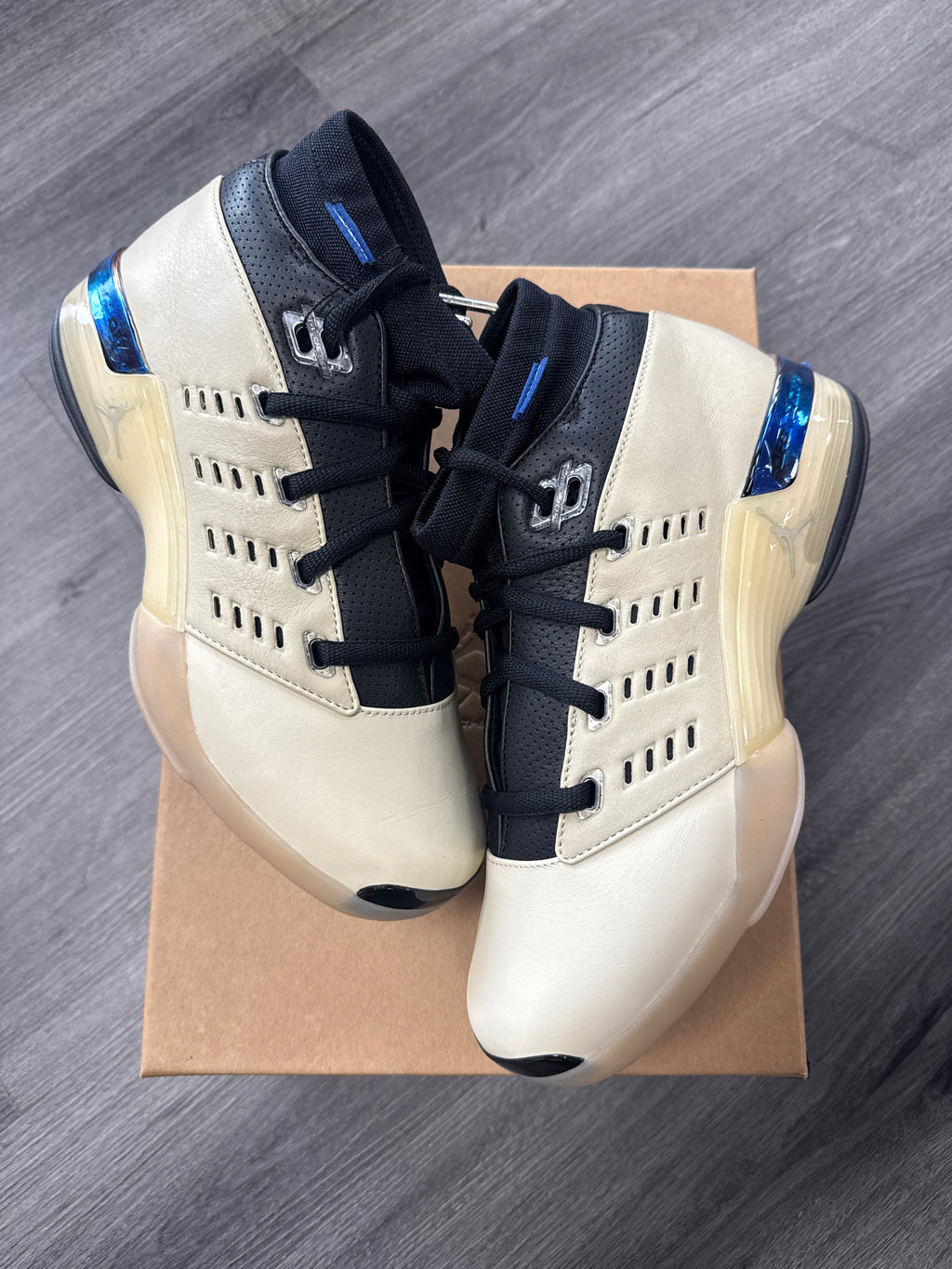 Jordan 17 Low Infinite Archives - size 8.5
